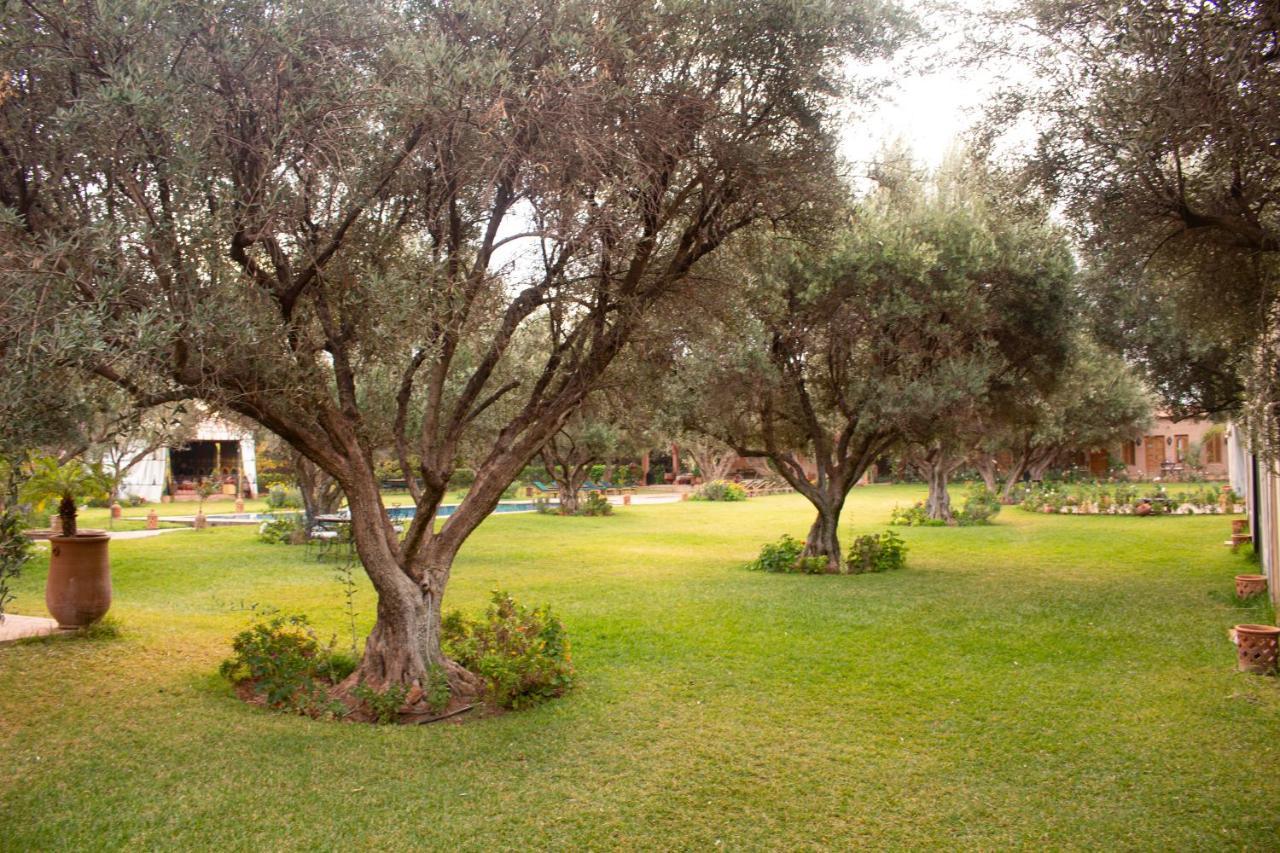 Greenlife Marrakech มาร์ราเกช ภายนอก รูปภาพ